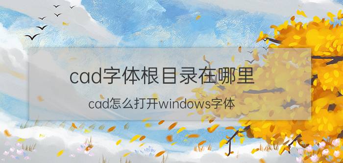 cad字体根目录在哪里 cad怎么打开windows字体？